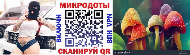 OMG ссылки  Саяногорск  Галлюциногенные грибы прущие грибы 